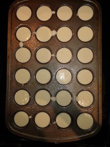 Pre-cooked Cheese Bites