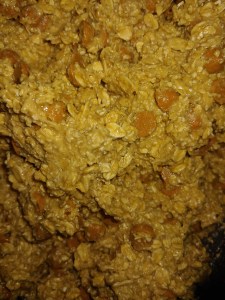 Oatmeal Butterscotch Batter