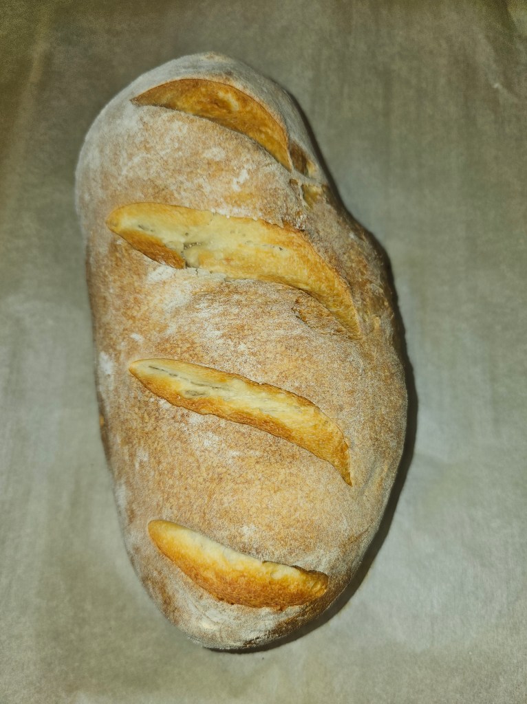 Sourdough Bread